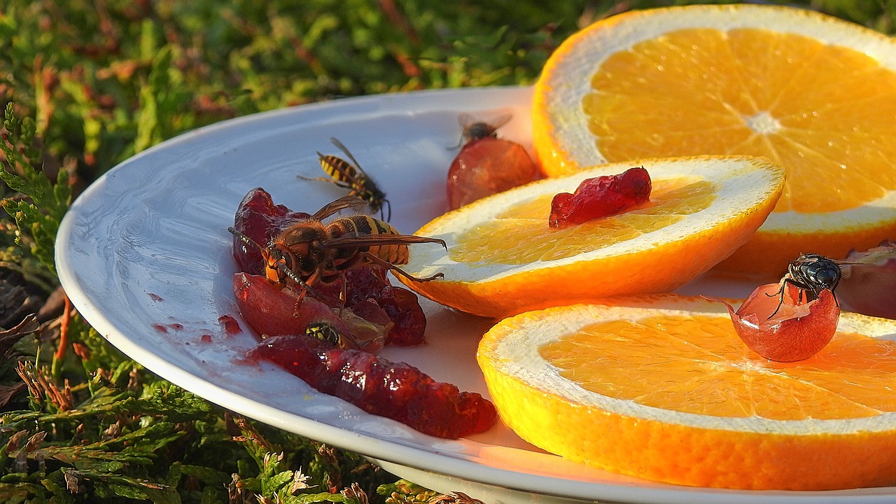 閲覧注意 昆虫食愛好家も怯む 気持ち悪い虫 ランキング 昆虫食ならバグーム