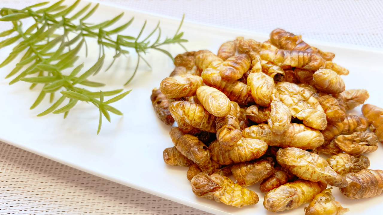 シルクワームのスナック｜昆虫食ならbugoom（バグーム）