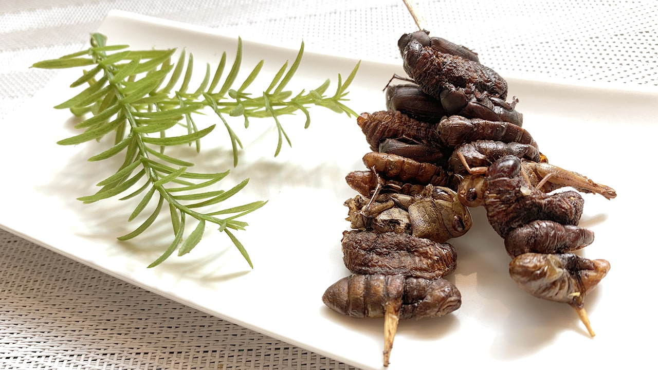 昆虫ケバブ｜昆虫食ならbugoom（バグーム）