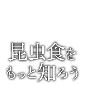 昆虫食ならbugoom バグーム 通販 実店舗 卸売