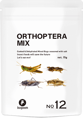 OPTHOPTERA MIX【No.12】