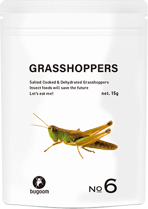 GRASSHOPPERS【No.6】